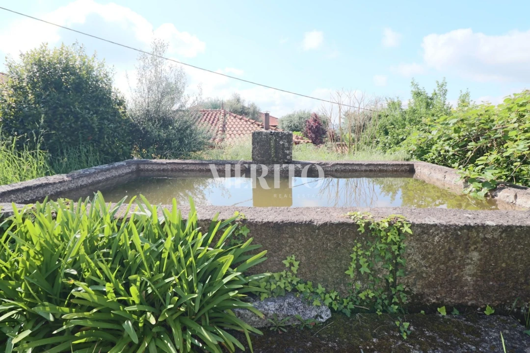 Quinta T5 para Venda em Sande São Lourenço e Balazar Foto 82