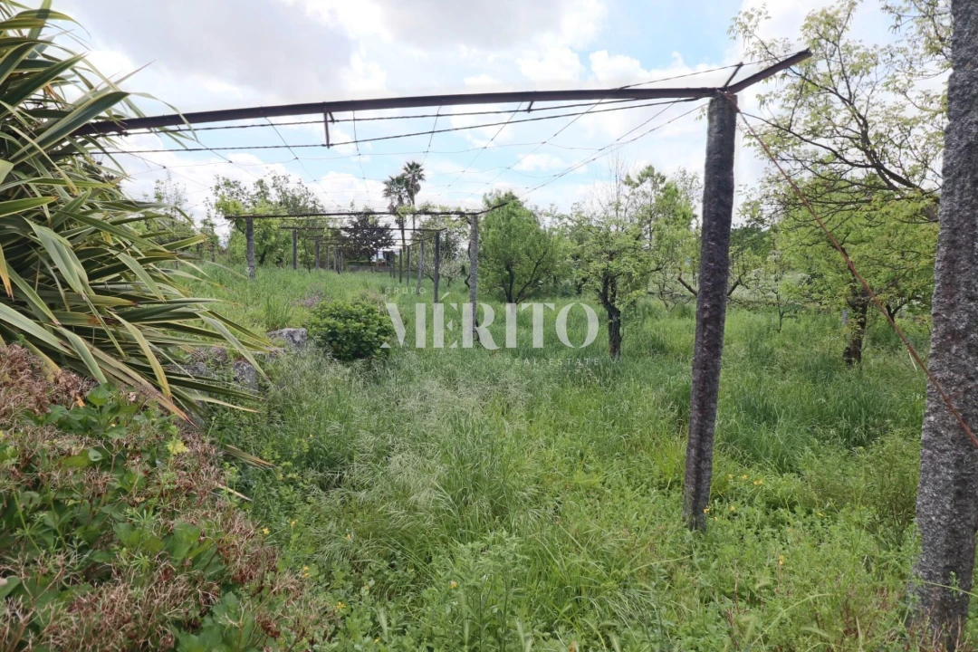 Quinta T5 para Venda em Sande São Lourenço e Balazar Foto 26