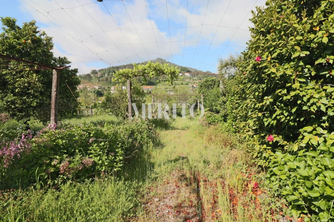 Quinta T5 para Venda em Sande São Lourenço e Balazar Foto 83