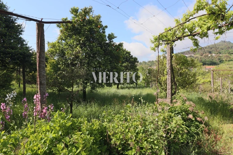 Quinta T5 para Venda em Sande São Lourenço e Balazar Foto 84