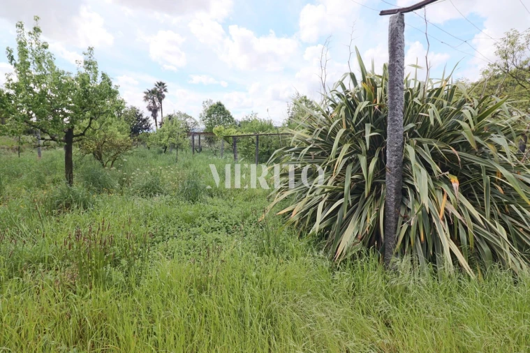 Quinta T5 para Venda em Sande São Lourenço e Balazar Foto 25