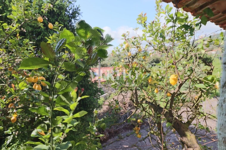 Quinta T5 para Venda em Sande São Lourenço e Balazar Foto 74