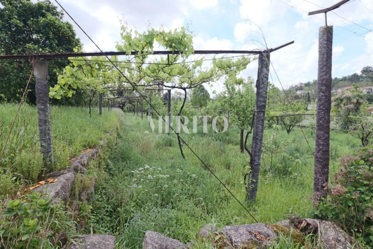 Quinta T5 para Venda em Sande São Lourenço e Balazar Foto 22