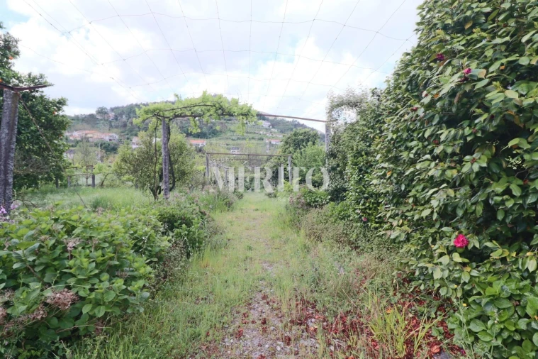 Quinta T5 para Venda em Sande São Lourenço e Balazar Foto 7