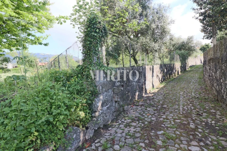 Quinta T5 para Venda em Sande São Lourenço e Balazar Foto 99