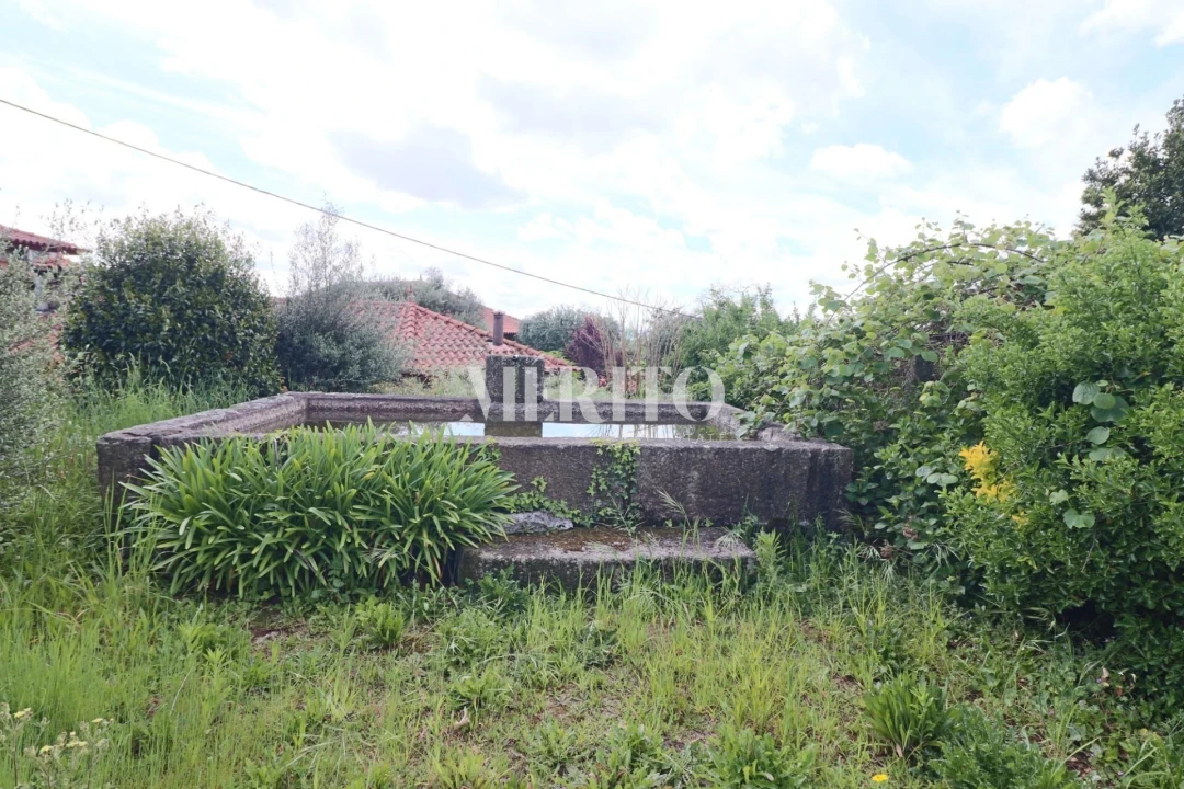 Quinta T5 para Venda em Sande São Lourenço e Balazar Foto 10