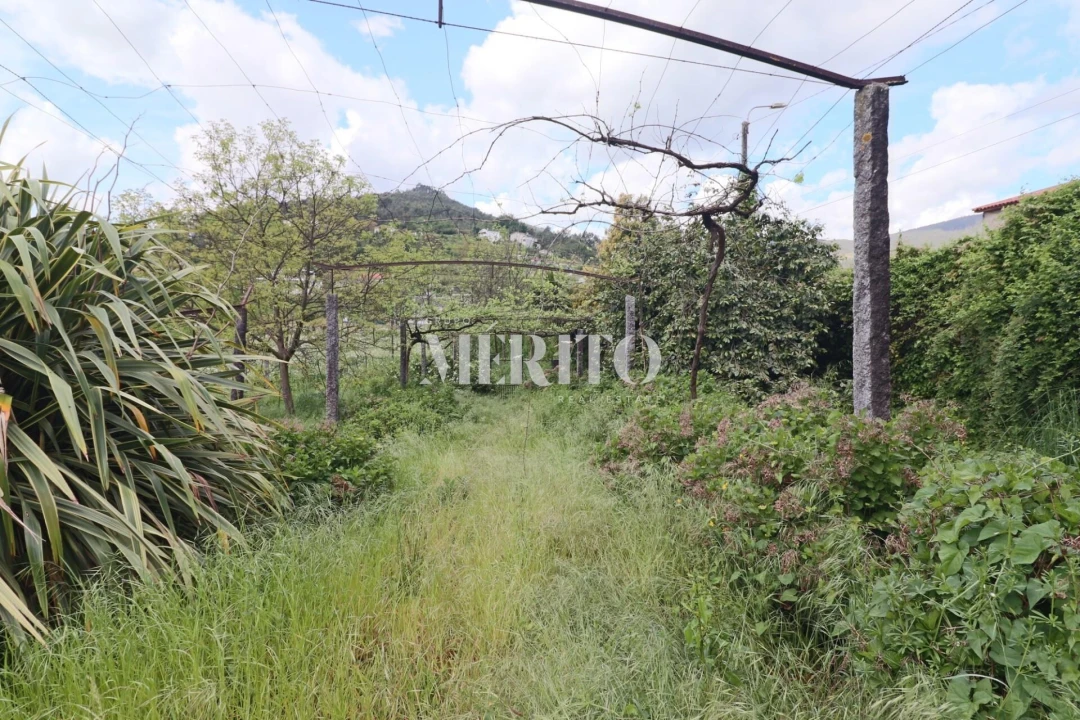 Quinta T5 para Venda em Sande São Lourenço e Balazar Foto 23