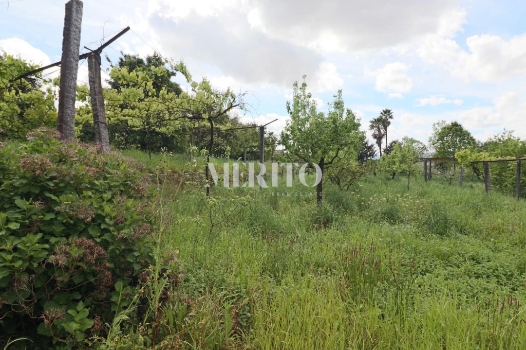 Quinta T5 para Venda em Sande São Lourenço e Balazar Foto 24