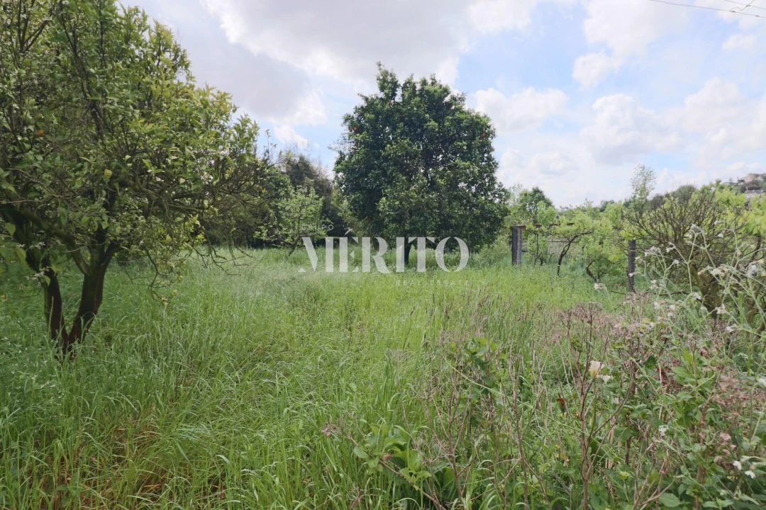 Quinta T5 para Venda em Sande São Lourenço e Balazar Foto 21