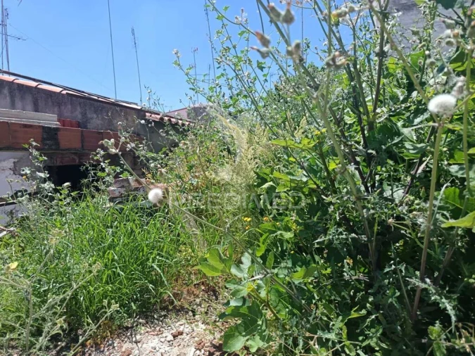 Moradia T4 para Venda em São João Baptista Foto 3