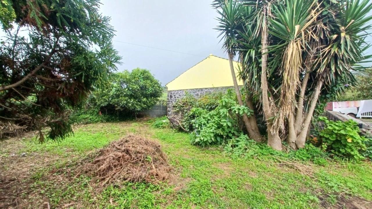 Moradia T3 para Venda em Rosais Foto 37