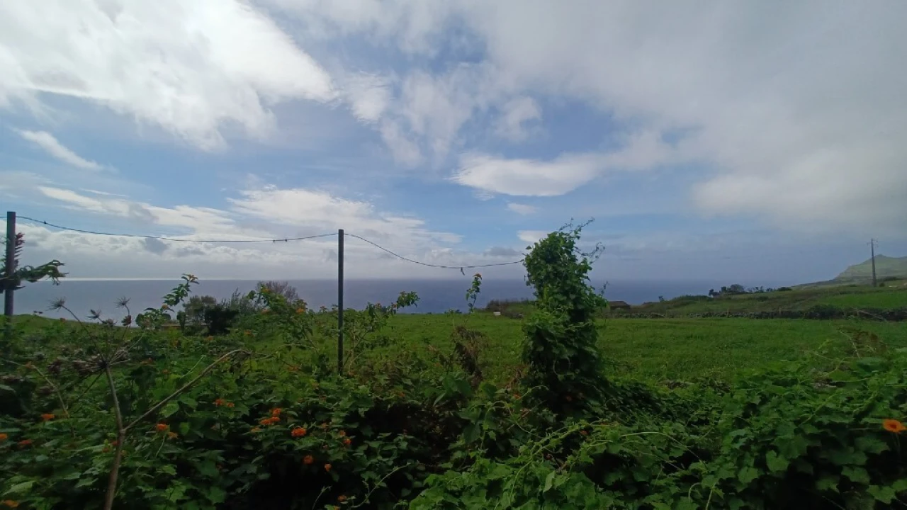 Moradia T3 para Venda em Rosais Foto 47