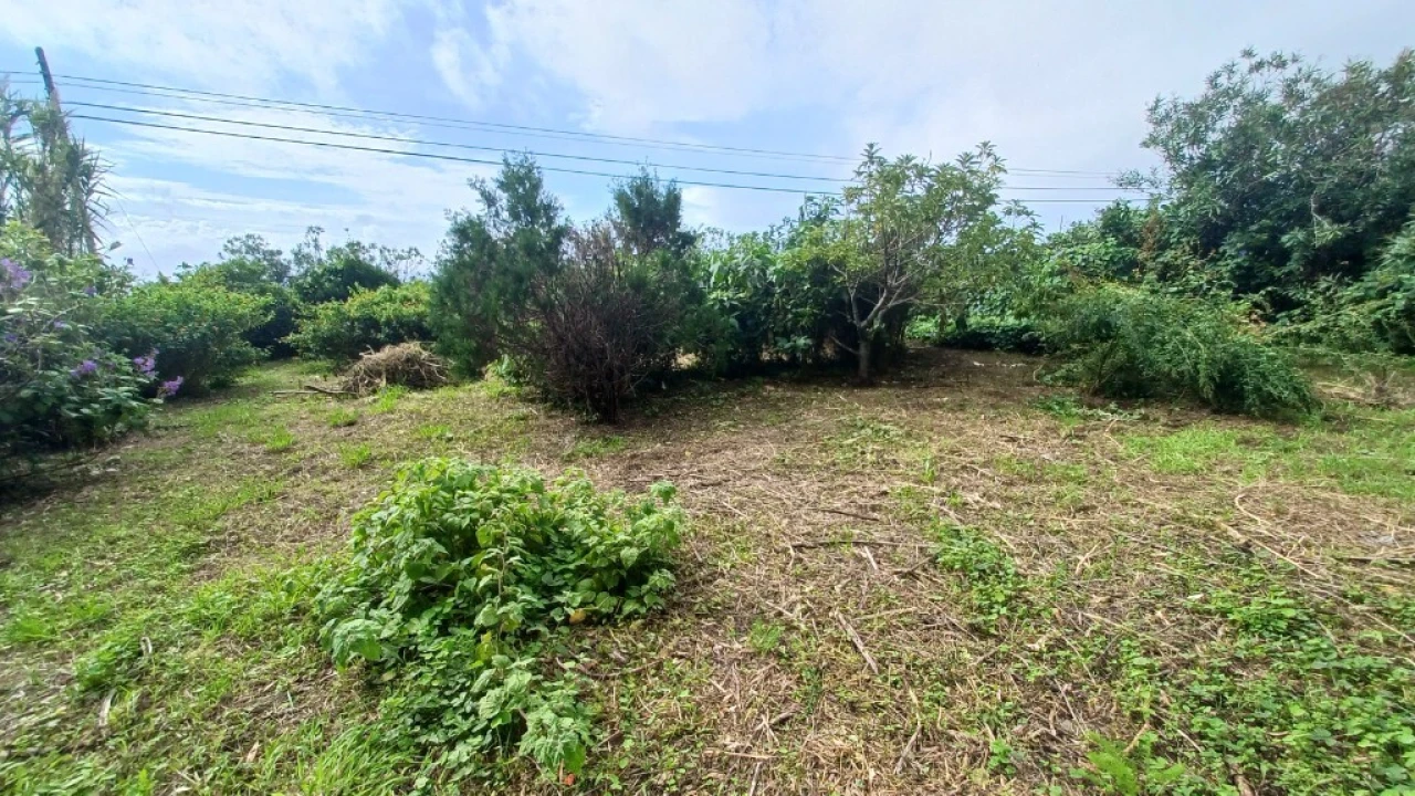 Moradia T3 para Venda em Rosais Foto 42