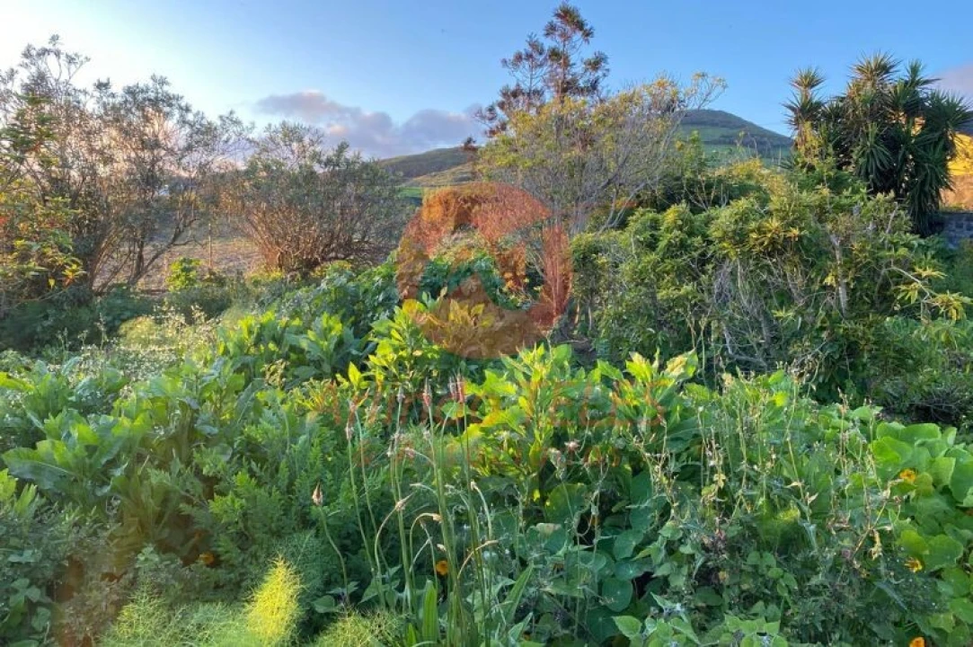 Moradia T3 para Venda em Rosais Foto 31