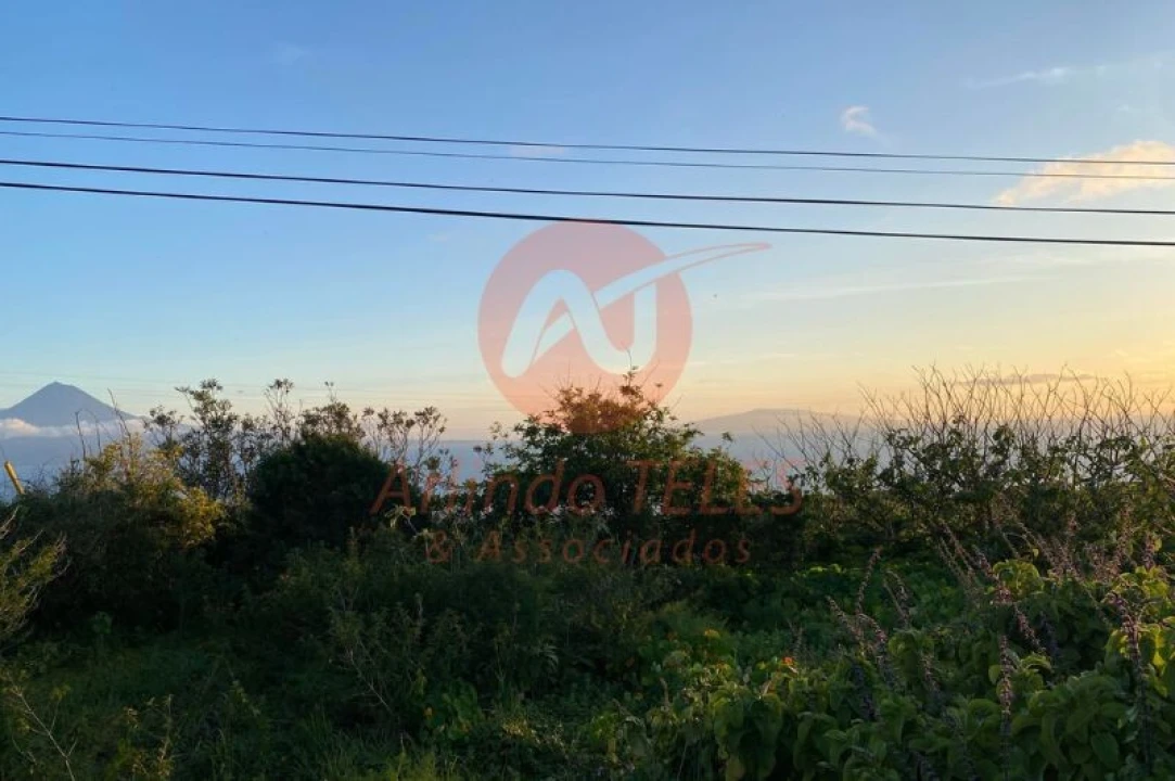 Moradia T3 para Venda em Rosais Foto 28