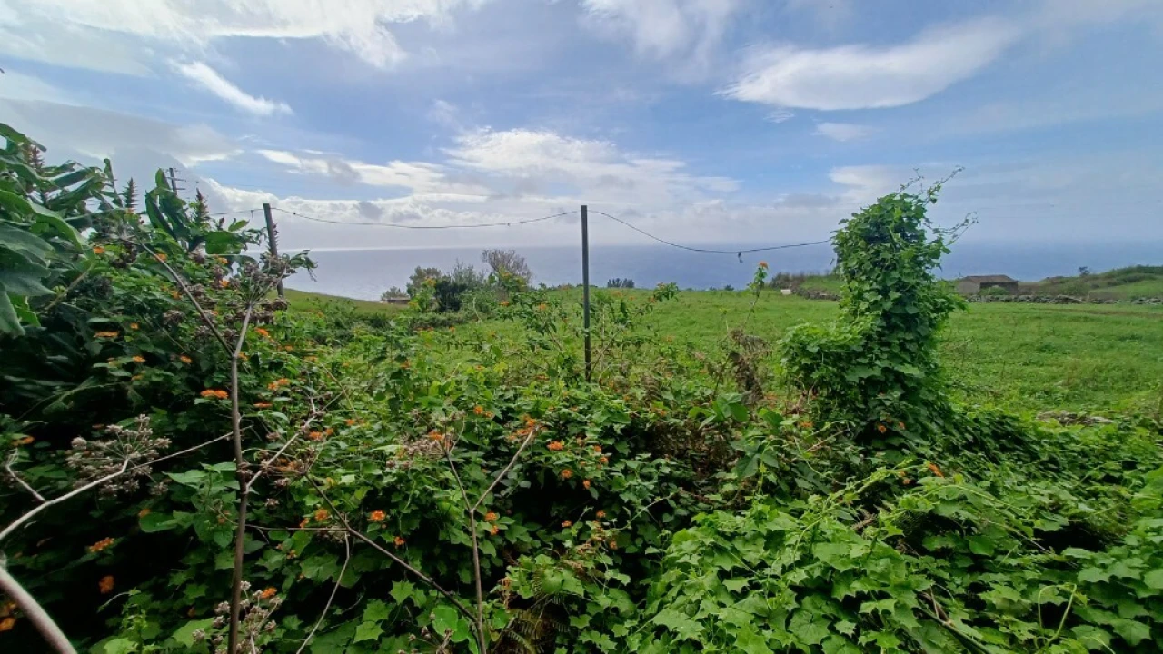 Moradia T3 para Venda em Rosais Foto 48