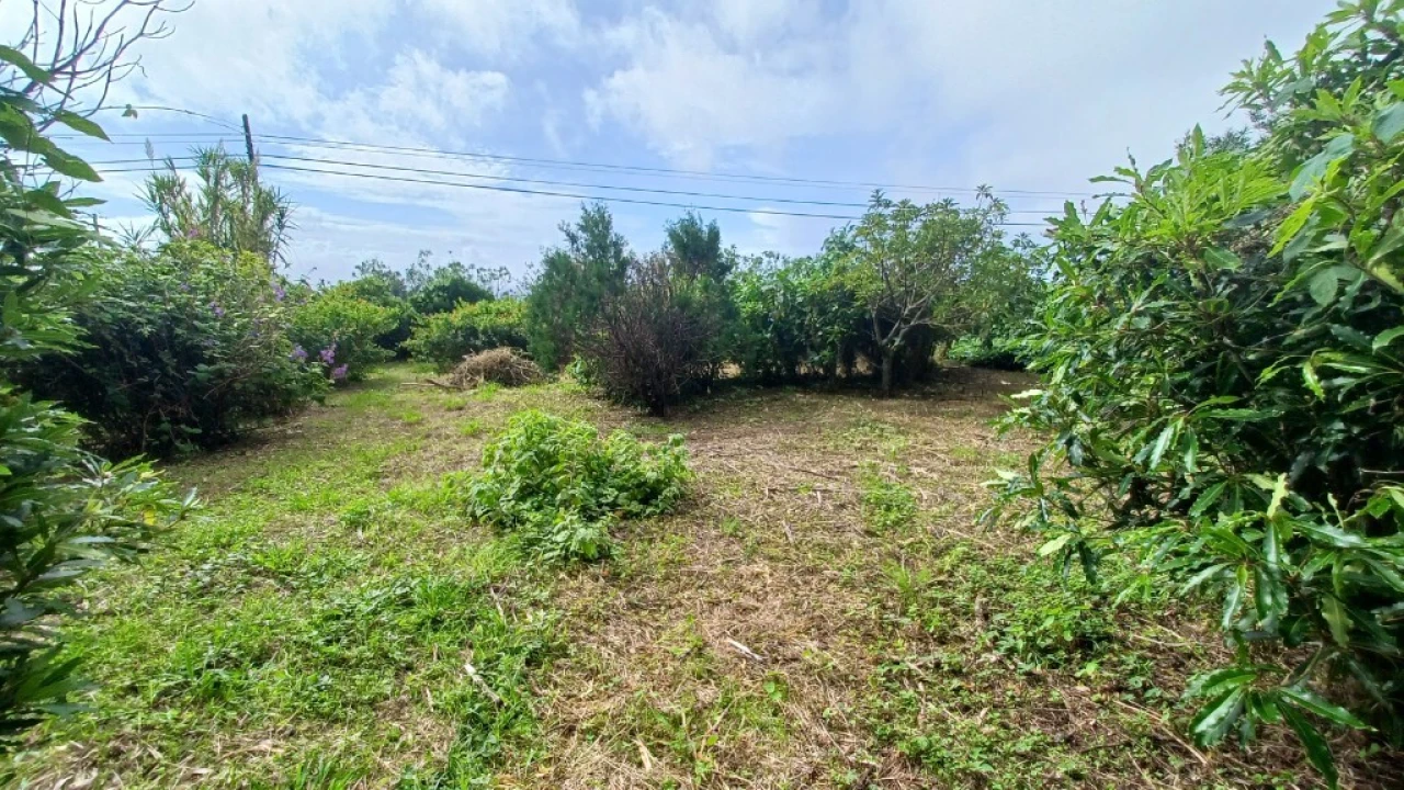 Moradia T3 para Venda em Rosais Foto 41