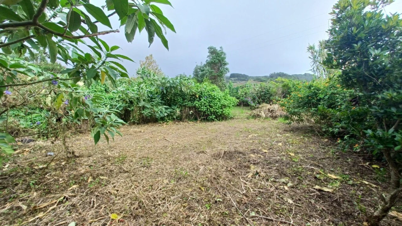 Moradia T3 para Venda em Rosais Foto 45