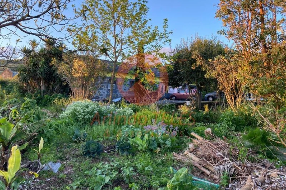 Moradia T3 para Venda em Rosais Foto 9