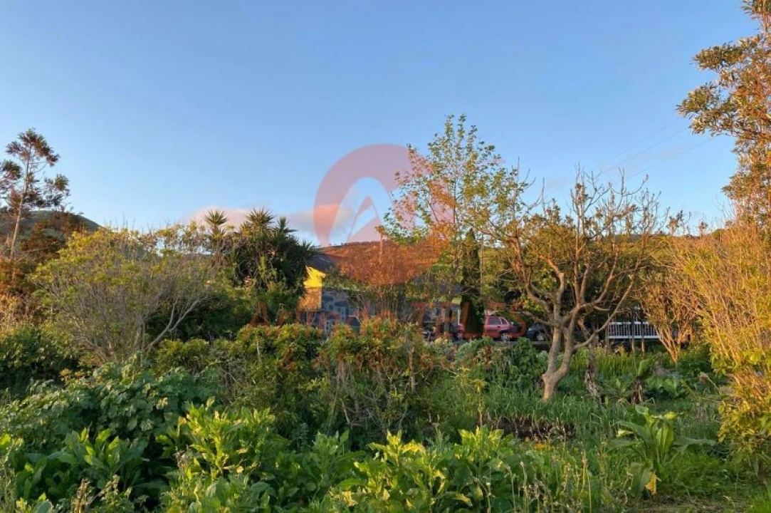 Moradia T3 para Venda em Rosais Foto 30