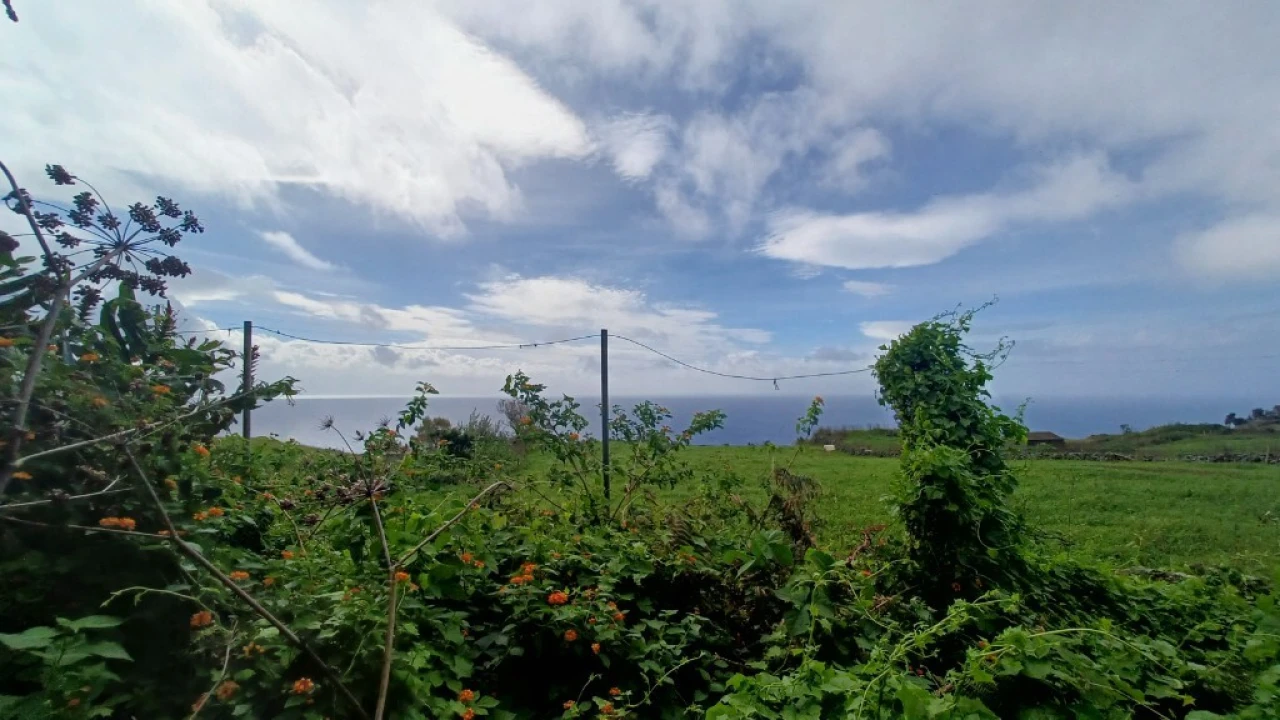 Moradia T3 para Venda em Rosais Foto 46