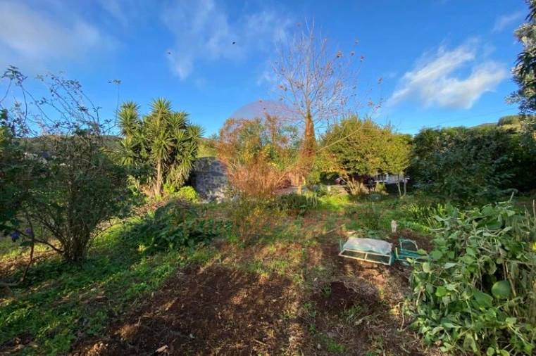 Moradia T3 para Venda em Rosais Foto 32