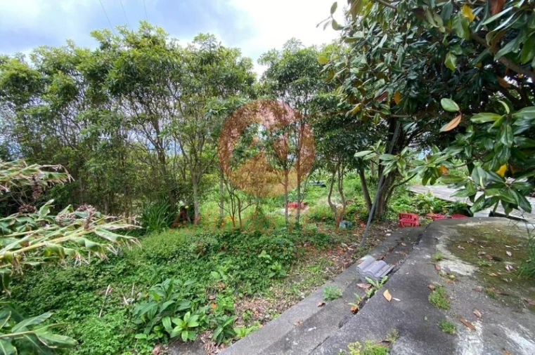 Moradia T3 para Venda em Rosais Foto 7