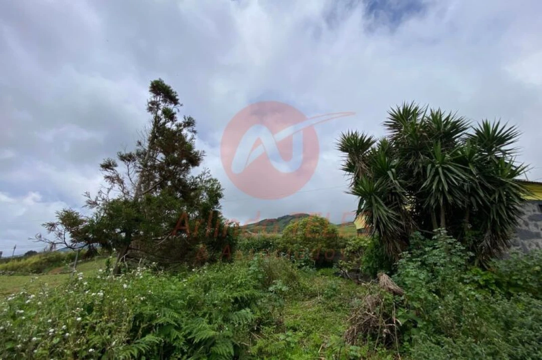 Moradia T3 para Venda em Rosais Foto 29