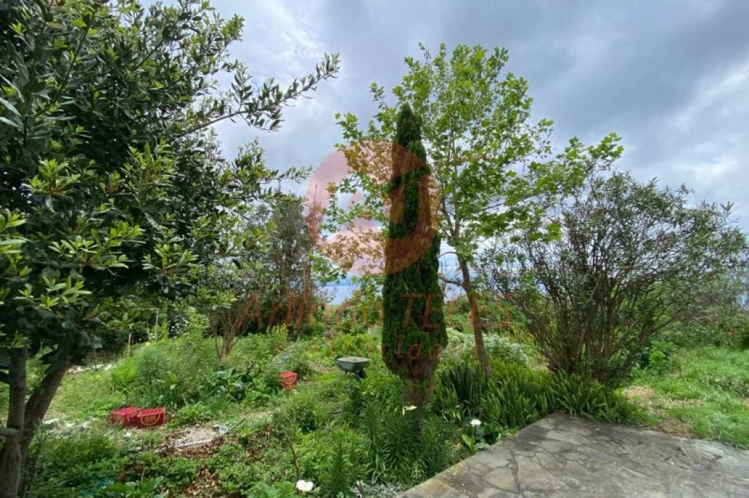 Moradia T3 para Venda em Rosais Foto 23