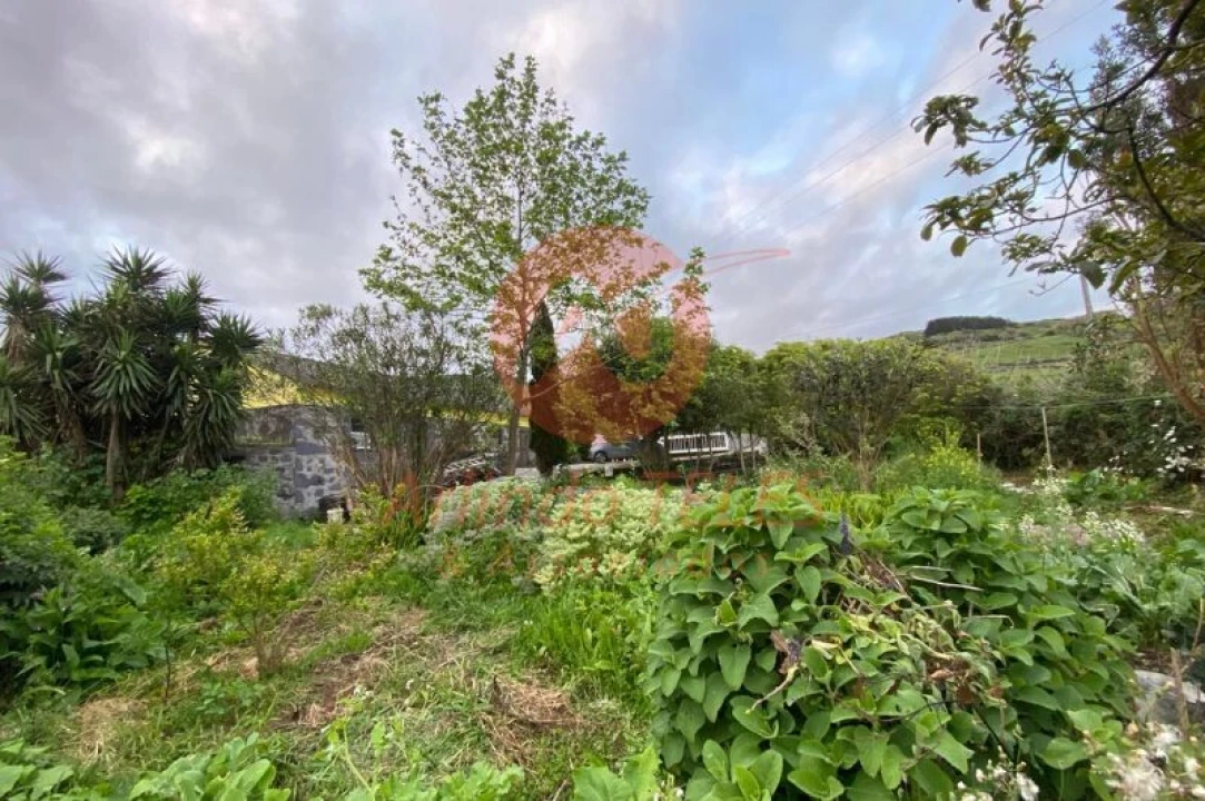 Moradia T3 para Venda em Rosais Foto 24