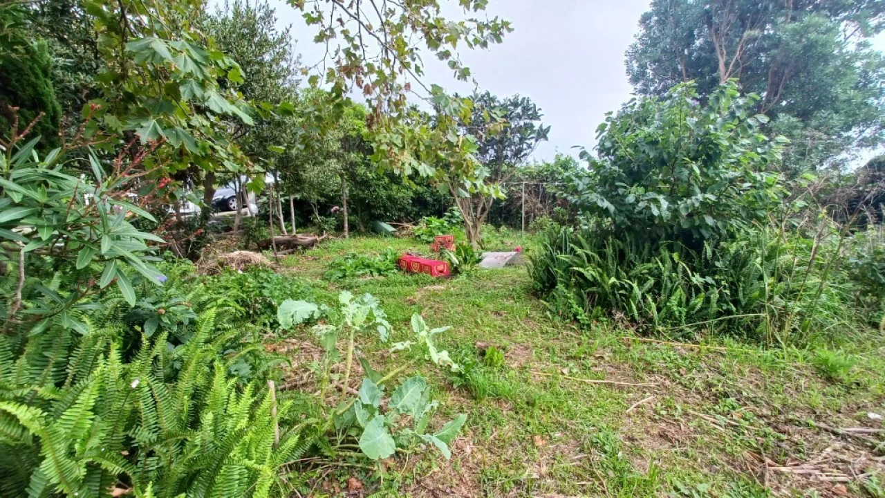 Moradia T3 para Venda em Rosais Foto 39