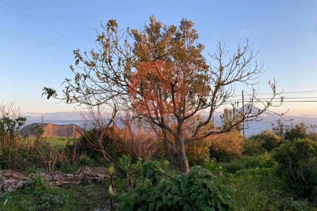 Moradia T3 para Venda em Rosais Foto 33