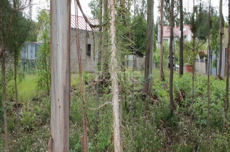Terreno para Venda em Castelões Foto 13