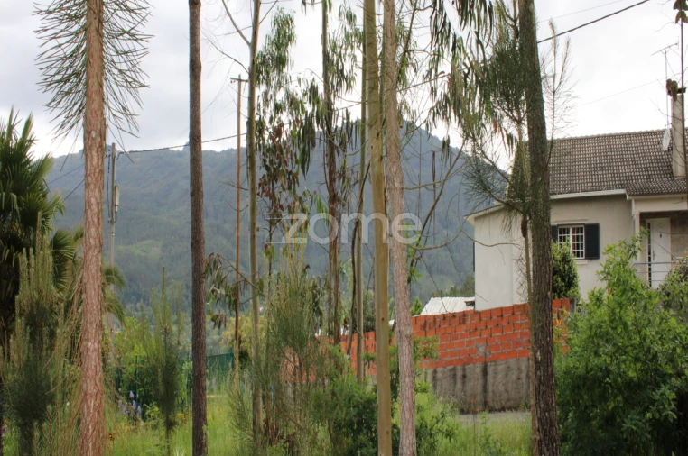Terreno para Venda em Castelões Foto 14