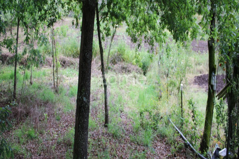 Terreno para Venda em Castelões Foto 28
