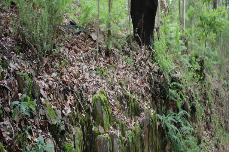 Terreno para Venda em Castelões Foto 29