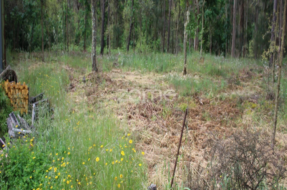 Terreno para Venda em Castelões Foto 4