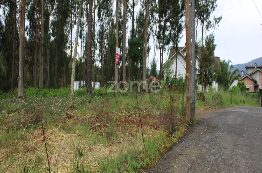 Terreno para Venda em Castelões Foto 6