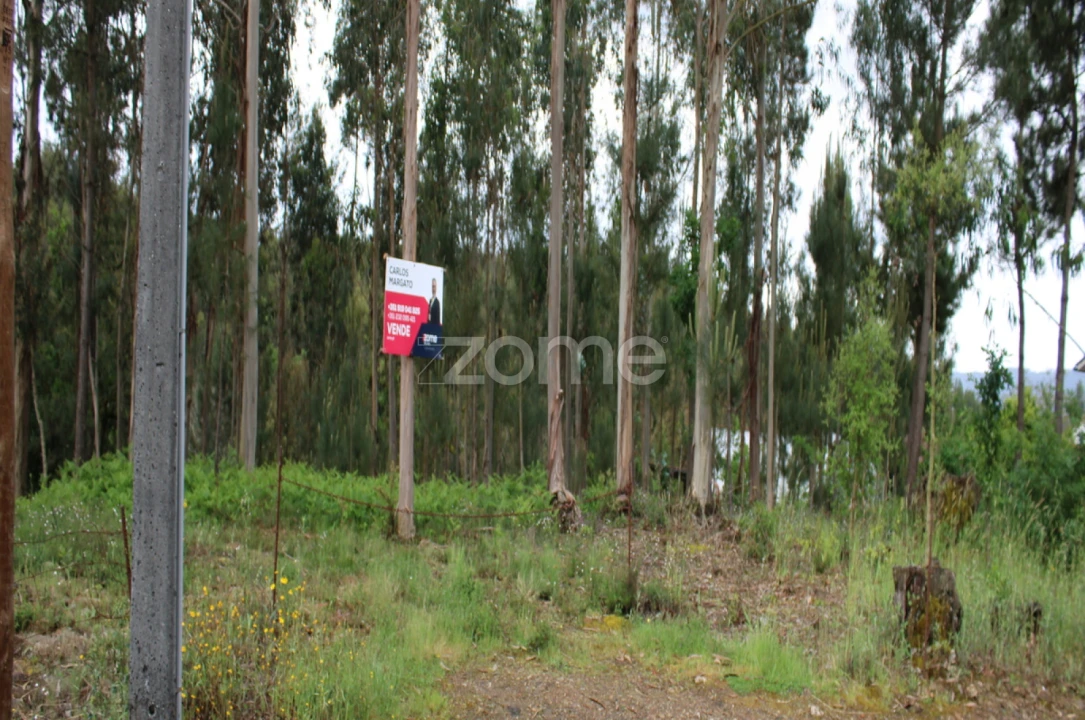 Terreno para Venda em Castelões Foto 1