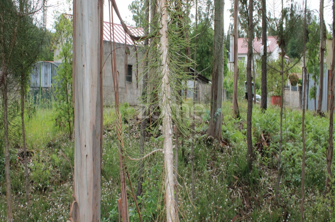 Terreno para Venda em Castelões Foto 13