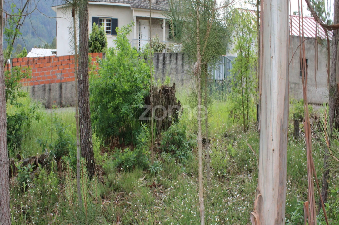 Terreno para Venda em Castelões Foto 12
