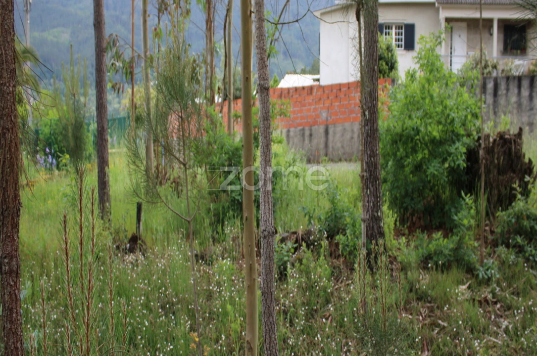 Terreno para Venda em Castelões Foto 15