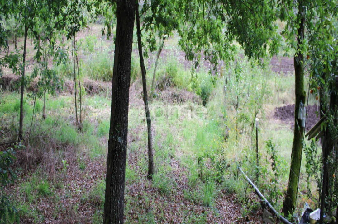 Terreno para Venda em Castelões Foto 28