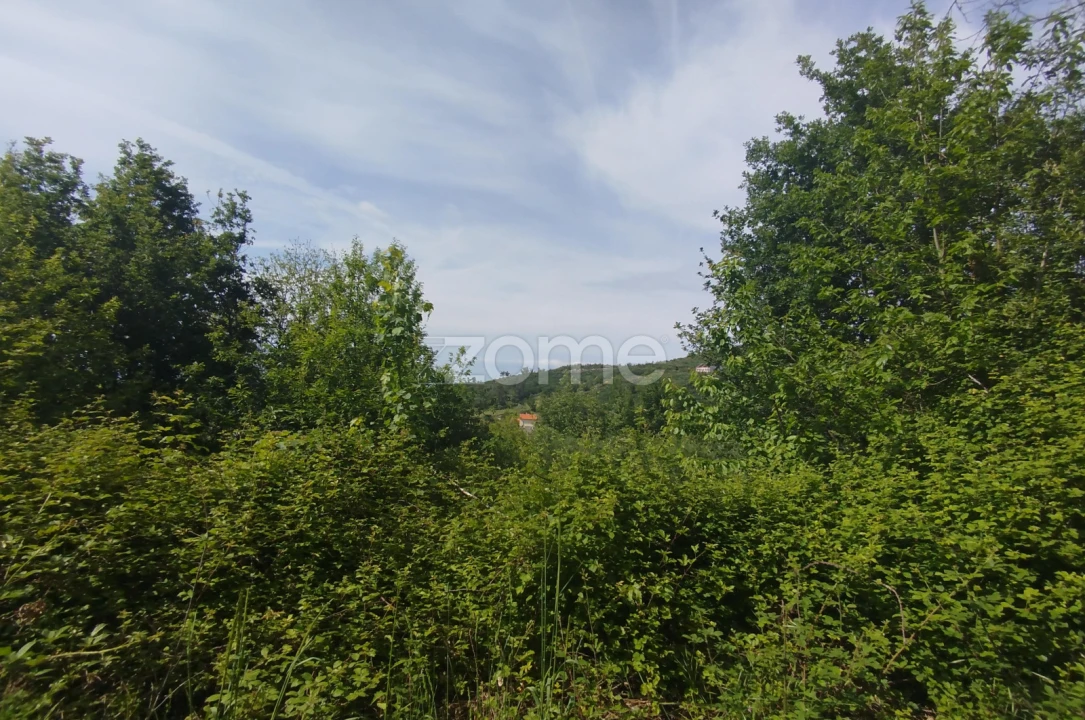 Terreno para Venda em Seia, São Romão e Lapa dos Dinheiros Foto 1