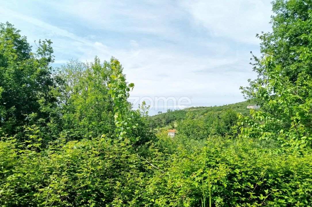 Terreno para Venda em Seia, São Romão e Lapa dos Dinheiros Foto 4