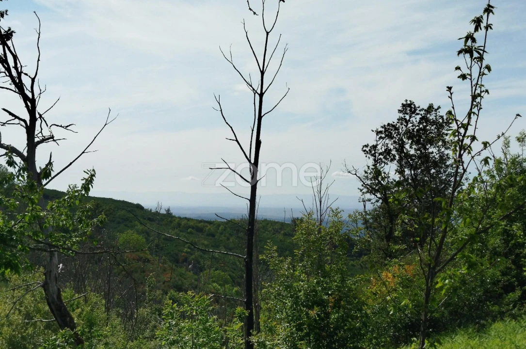 Terreno para Venda em Seia, São Romão e Lapa dos Dinheiros Foto 13