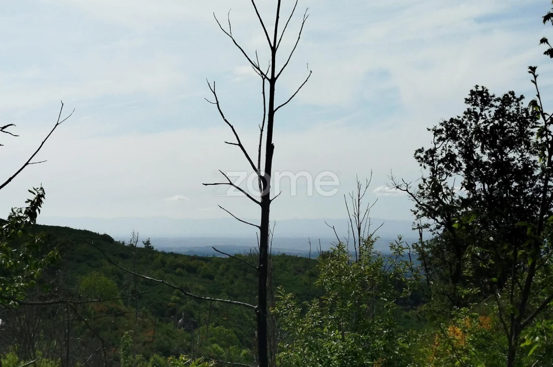 Terreno para Venda em Seia, São Romão e Lapa dos Dinheiros Foto 18