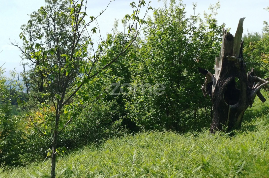 Terreno para Venda em Seia, São Romão e Lapa dos Dinheiros Foto 17