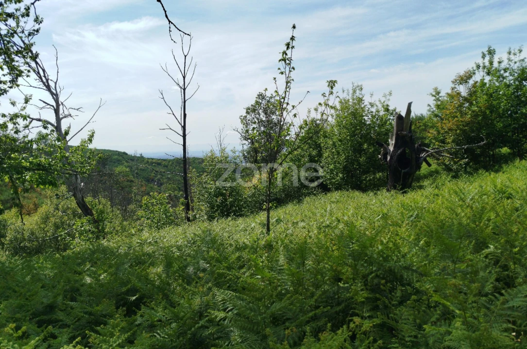 Terreno para Venda em Seia, São Romão e Lapa dos Dinheiros Foto 19