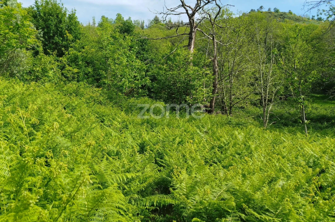 Terreno para Venda em Seia, São Romão e Lapa dos Dinheiros Foto 22